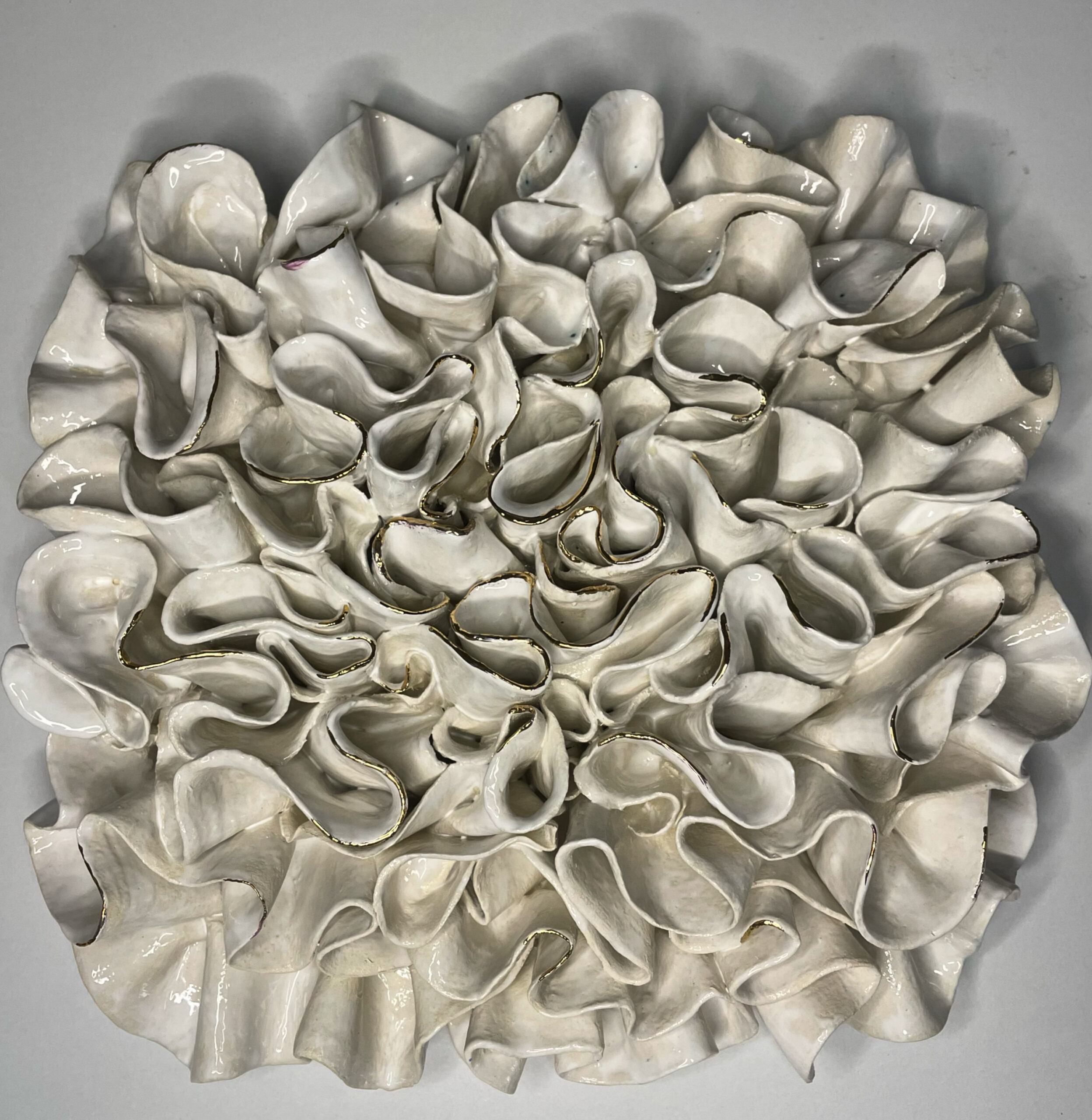 7BBF9B96-A588-44CE-BDF6-B8E23937E592